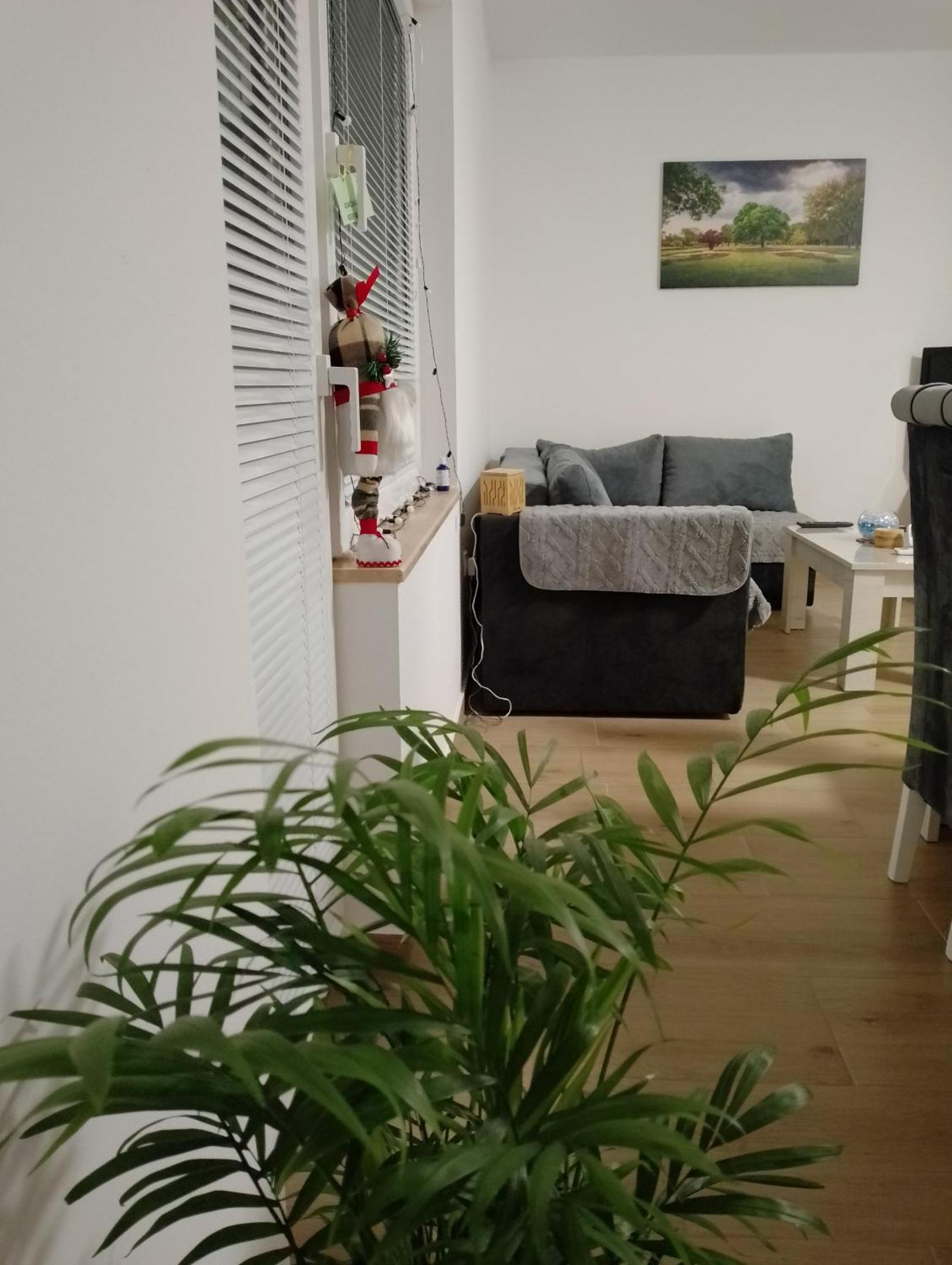 Apartman Dve Lipe Palic Luaran gambar